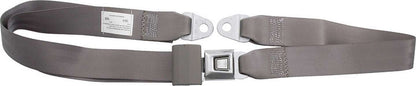 Allstar Performance Seat Belt Gray | ALL98111