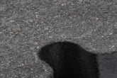 BRK00040_004.jpg