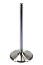 BROBR81375.jpg