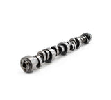 Brian Tooley Racing GEN 3 & 4 Torque Truck Cam BTR-30202111R1
