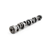 BTRBTR-31824100.jpg