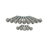Brian Tooley Racing LS Head Bolt Kit - 04-Up (1-Head) BTR00568