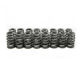 Brian Tooley Racing LS6 Beehive Springs .560 Lift (16) SP011-16
