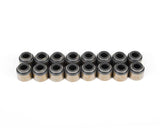 Brian Tooley Racing LS Valve Seal Kit VS LS KIT