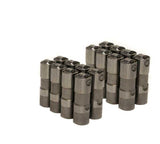 Brian Tooley Racing Delphi LS7 Lifters - (16) X12499225-16