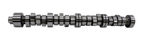 CAL270-009.jpg