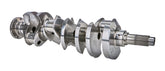 CALF10-P7@-UB.jpg