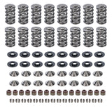 Cam Motion GM LS Dual Valve Spring Kit .660 Dia. VSK143803