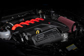 Carbon Fiber Intake Filter System 2.5 TFSI MK3 TT RS/RS3 Fits Audi RS3 17-20, TT RS Quattro 18-22 APR