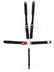 CRW11064-DB.jpg
