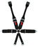 CRW11144-6DB.jpg