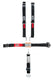 CRW40044-2_2.jpg