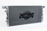 CSF8303.jpg