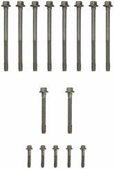 FELES72173.jpg