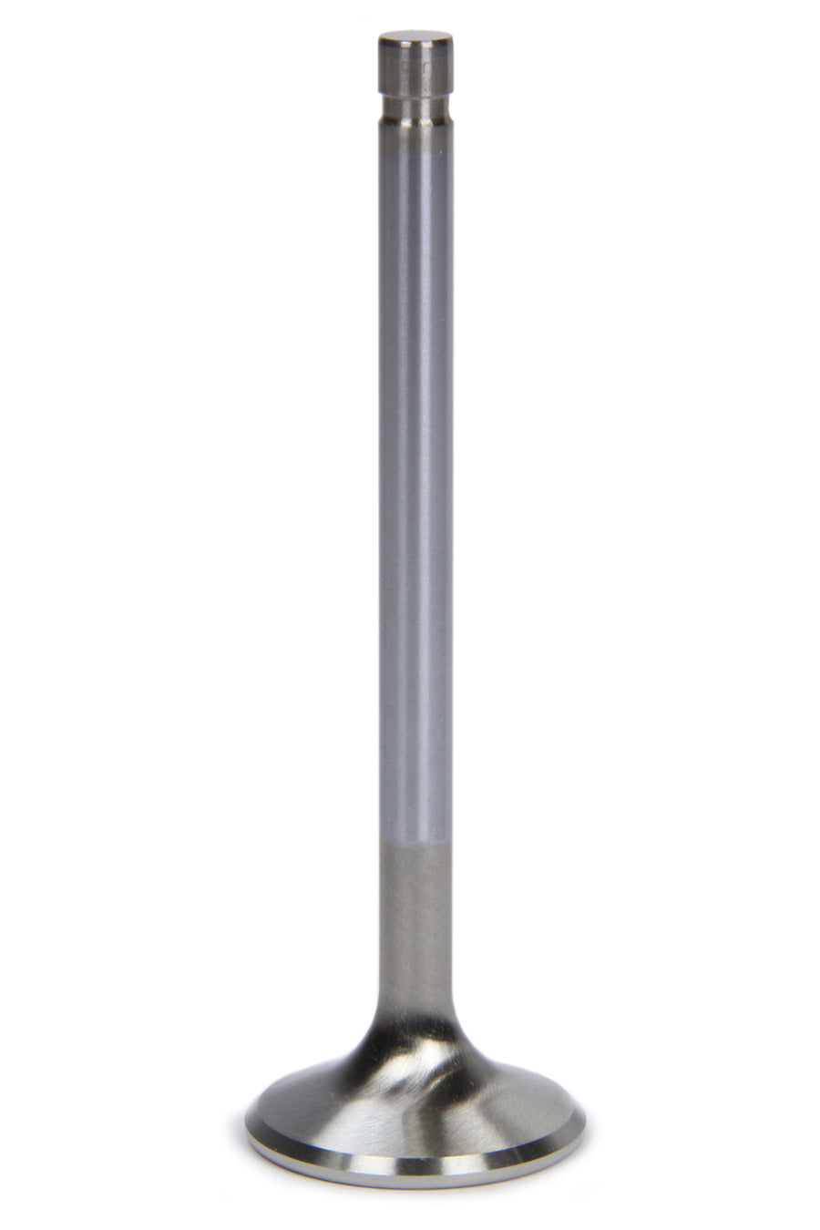 FERF1811P-1.jpg