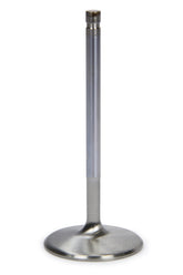 FERF2369P.jpg
