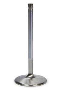 FERF2369P.jpg