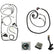 Ford Performance Parts 2018-2020 Gen 3 Coyote Control Pack-Automatic Transmission M-6017-M50BA