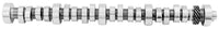 Ford Performance Parts Small Block V-8 Hydraulic Roller Tappet Camshafts M-6250-X303