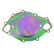 FRDM8501-460BP.jpg