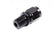 FRG499306-BL.jpg