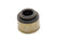 GMP10212810.jpg