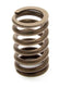 Chevrolet Performance Parts 1.250 Valve Spring - SBC for 602 Crate Engine 10212811