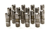 GMP12499225.jpg