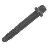 GMP12560961.jpg