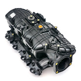 GMP12638038.jpg