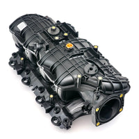 GMP12638038.jpg
