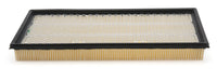 GMP19542275.jpg