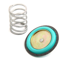 Load image into Gallery viewer, Holley Rebuild Kit for 12-843 Regulator 12-824