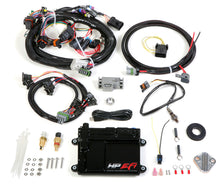 Load image into Gallery viewer, Holley EFI HP ECU &amp; Harness MPFI - NTK 550-604N