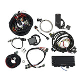 HLY550-918-6.jpg