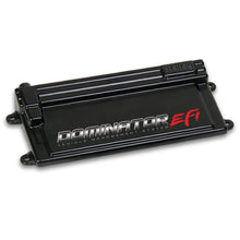 Load image into Gallery viewer, Holley EFI ECU Only Dominator 554-114