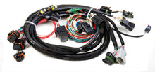 Load image into Gallery viewer, Holley TPI Stealth Ram Main Harness 558-101