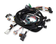 Load image into Gallery viewer, Holley Main Harness 99-04 Ford Modular Engine 558-108
