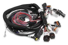 Load image into Gallery viewer, Holley Main Wire Harness  Hemi Late  W/ TPS &amp; IAC 558-116