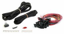 Load image into Gallery viewer, Holley EFI Injector Harness - 16 Injectors - Unterminated 558-207