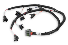 Load image into Gallery viewer, Holley EFI Injector Harness Ford w/ Jetronic Injectors 558-213