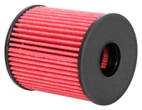 KNEHP-7024.jpg
