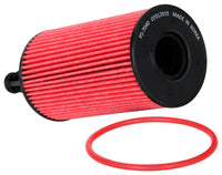 KNEHP-7040.jpg