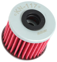 KNEKN-117.jpg