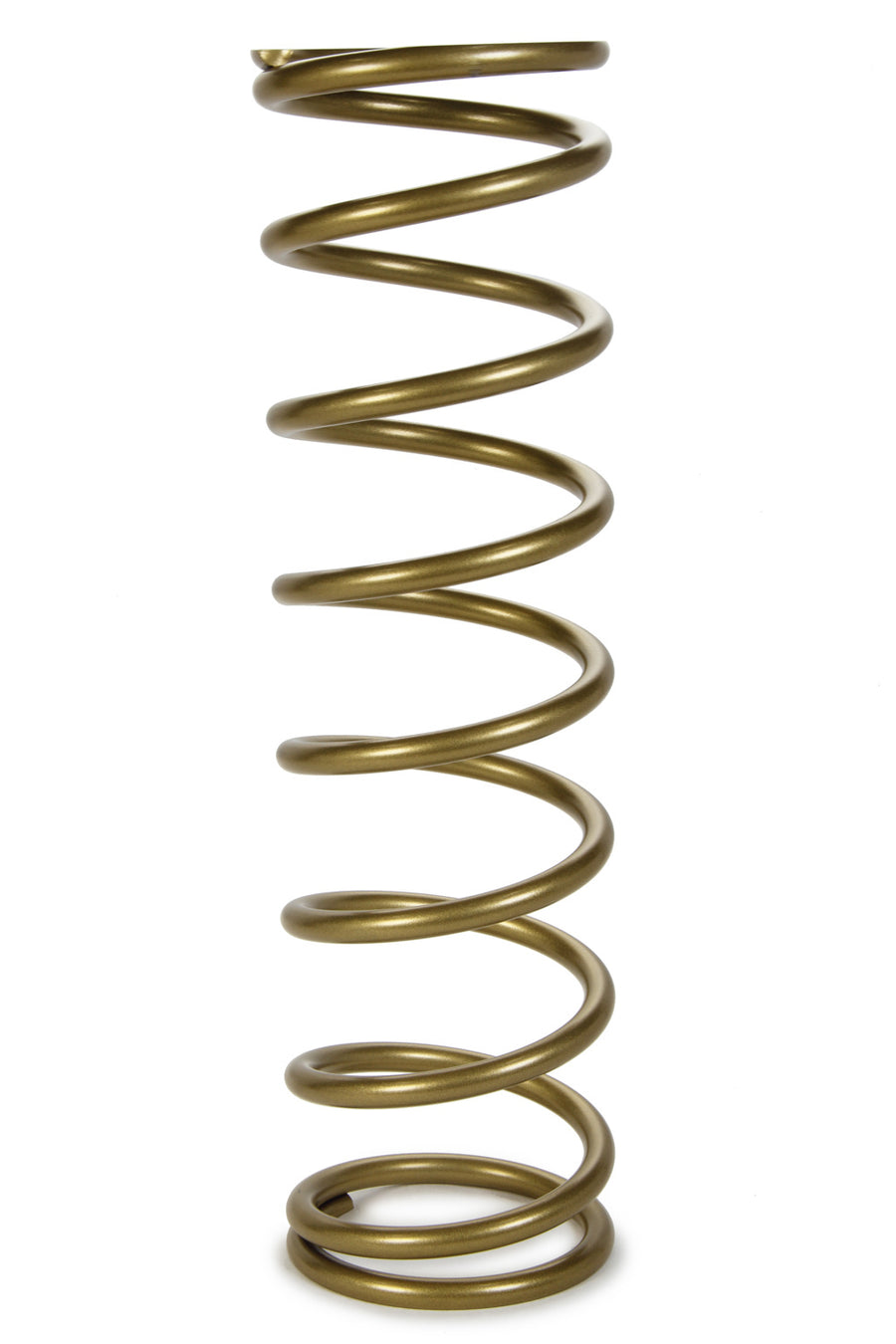 LANK18-100.jpg