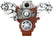 CVF Racing LSXW-WRAPTOR LS Wraptor Wide-Mount Serpentine Kit