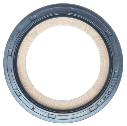 M7768114.jpg
