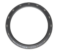 M7768115.jpg