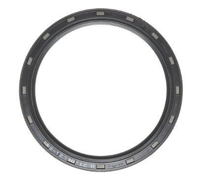 M7768115.jpg