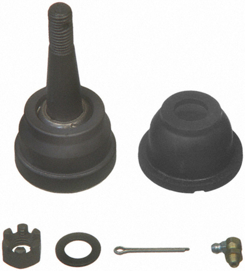 MOGK6345.jpg